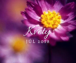 Kvety