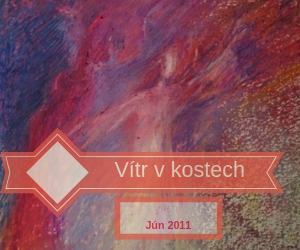portfolio 7