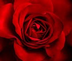 images (17)