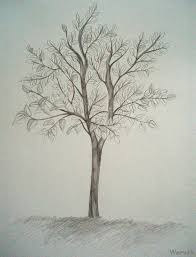 images (2)