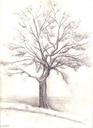images (3)