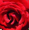 images (52)