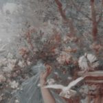 6f69c2145c7e85ee8873d4b3a515a6a0