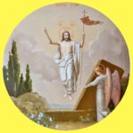 Dizajn bez názvu (8)