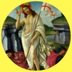 Dizajn bez názvu (9)