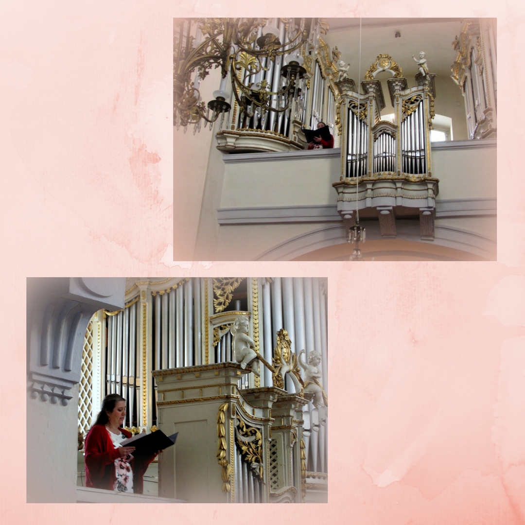 spev a organ2