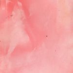 6b3a83c40463ee7fad3e1f56ecabf5d4