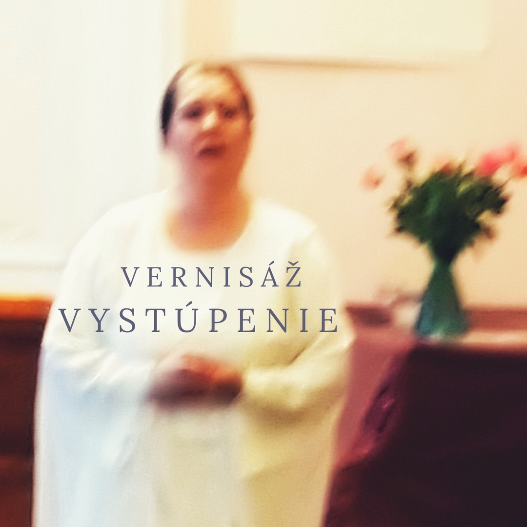 výstava hozman vieden