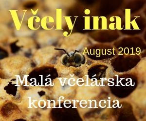 projekty 10