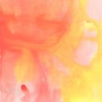 9b0c6c306541b8bef16a8382a28a9231